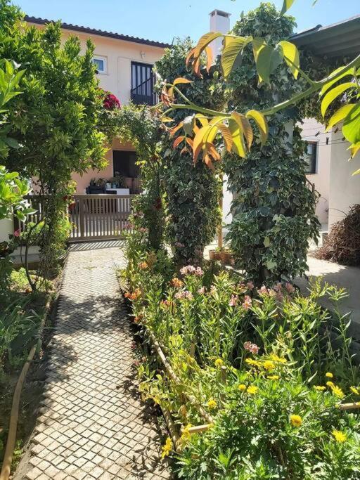 Ferienwohnung Casa Alegria - The Orangery Tomar Exterior foto
